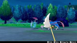 Dragapult and Zacian Hold Togepi Back From Reaching Me Pokemon Sword & Shield (Funny Camping Moment)