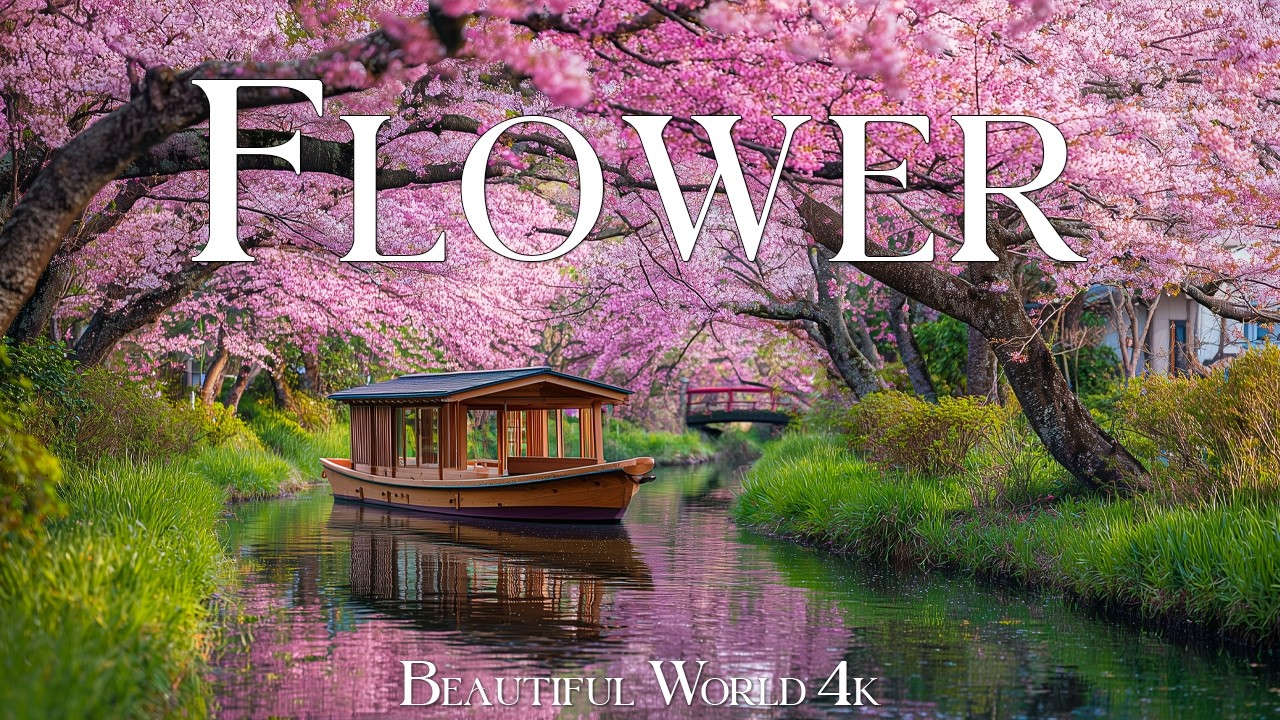 Amazing World of Flowers 4K Nature Film – Blooming Gardens & Relaxing Piano Music