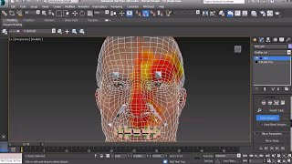 12 Skinning techniques