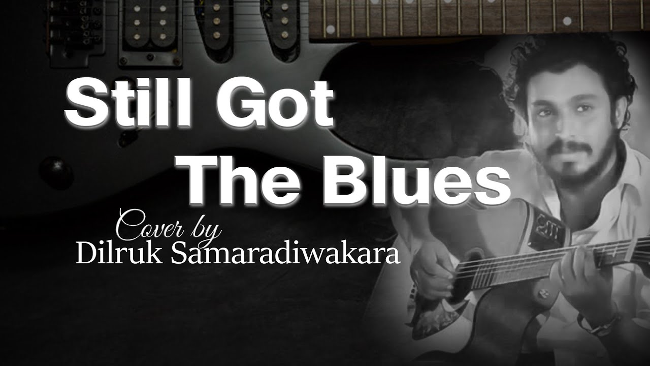 Still Got The Blues Guitar Cover by Dilruk Samaradiwakara