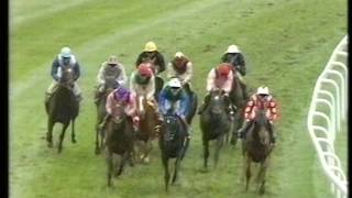 1992 Racing Post Trophy screenshot 4