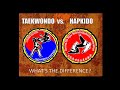 What Is the Difference Between Taekwondo and Hapkido?