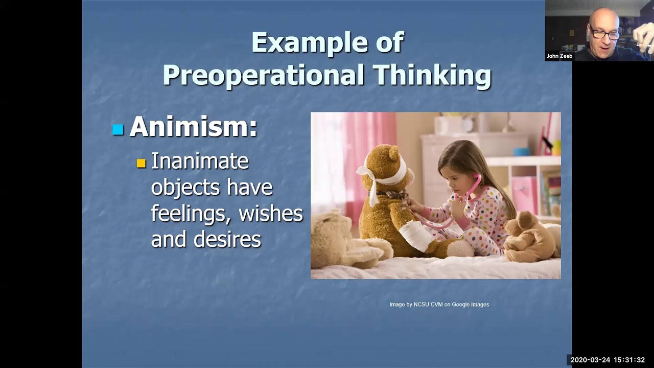 Cognitive Development in Early Childhood - YouTube