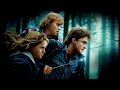 Harry Potter and the Deathly Hallows Part 1 | Review &amp; Explanation | Daniel Radcliffe, Emma Watson