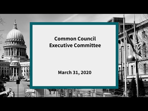 Common Council Executive Committee: Meeting of March 31, 2020