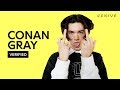 Conan Gray "The King" Official Lyrics & Meaning | Verified