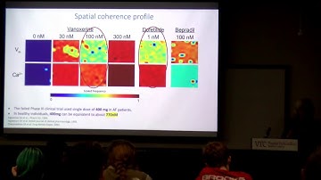 Massively Parallel All-Optical Cardiac Electrophysiology