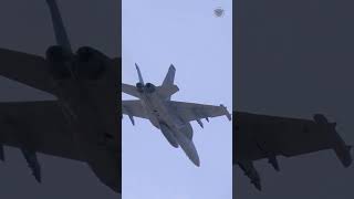 Boeing EA-18G Growler, the U.S. Navy electronic warfare aircraft