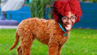 I BECAME A DOG. screenshot 1