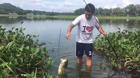 Đam Mê Câu Cá || Câu Cá Chép Khủng 3kg ở Hồ Núi Le #99