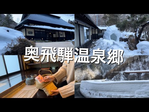日本高山旅遊(上) | JR高山特急+濃飛巴士 | 白川鄉以外高山推薦景點 | 一個人新幹線溫泉旅行 | 日本旅遊vlog