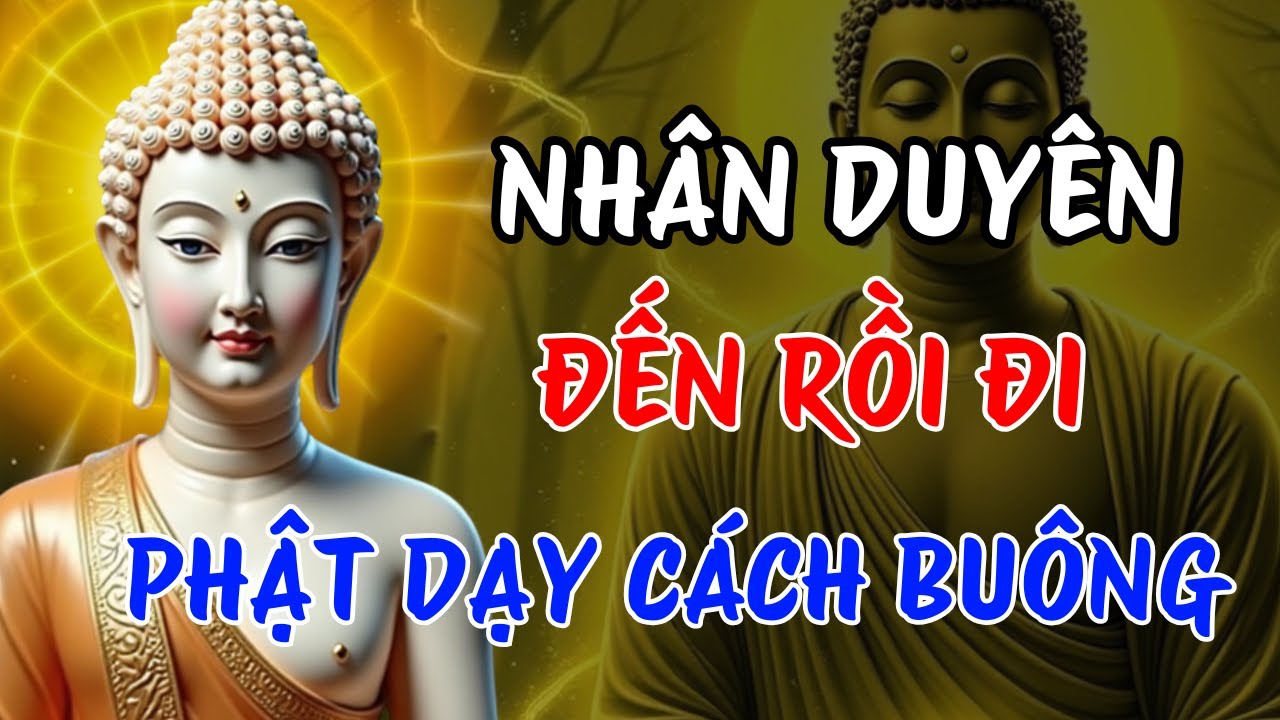Nhân Duyên Đến Rồi Đi – Phật Dạy Cách Buông Để Không Thành Oan Nghiệp