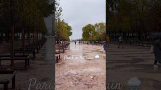 Tuileries Gardens on a rainy day in Paris 🇫🇷🌧️ #paris #lifestyle #dream #europe #viral #travel