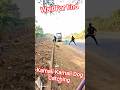 Kamali Kamali Dog Catching #shorts #streetdogrevival #dog #kamali #ytviral #pets #animals #catch