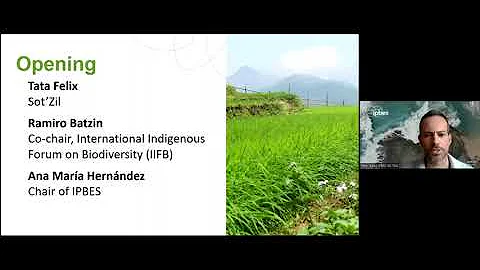 Indigenous and local knowledge in the IPBES assessments of sustainable use and values of nature
