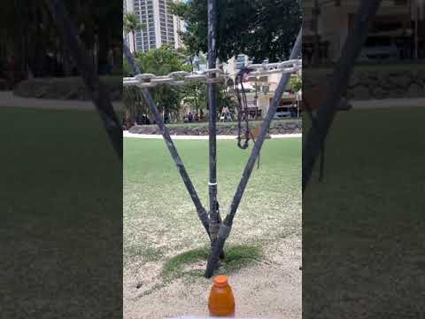 Lahaina noon Waikiki beach may 26,2021