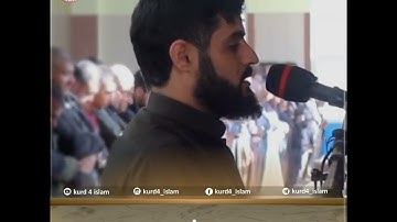 تلاوة محبرة تخشع لها القلوب🎧🧡سورة المنافقون|القارئ رعد الكردي|Surah Al Munafiqun💛|Raad Al Kurdi