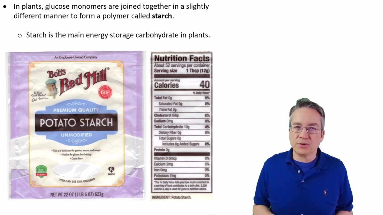 2.6C Carbohydrates    used for energy and structural support
