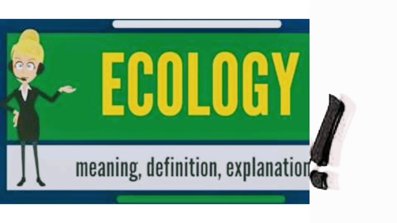 Animal ecology , introduction to ecology definition, subdivisions of ecology,  environmental factors - YouTube