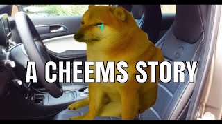 A Cheems Story