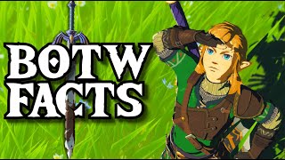 19 Facts You Didn't Know About Zelda: Breath of the Wild!