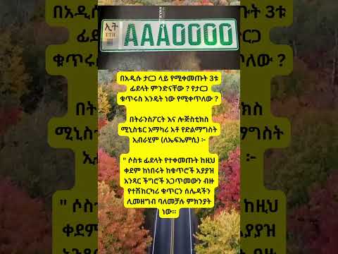 Amharic Duet Funnyimages Habesha Funnymemes Funnypictures Zena Funny Cuteanimal Raya 
