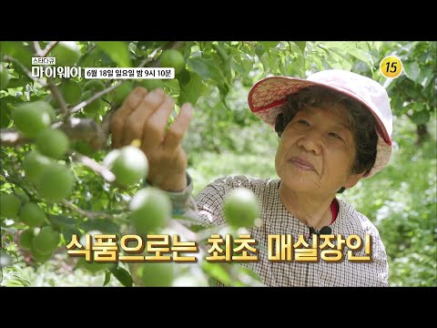 매실은 내 운명 아름다운 농사꾼 홍쌍리_마이웨이 348회 예고 TV CHOSUN 230618 방송