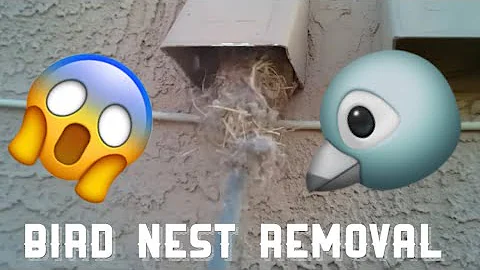 Bird Nest Clogged the Dryer Vent! Oddly Satisfying ASMR Dryer Vent Cleaning/Unclogging