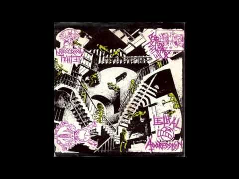 Lethal Aggression — Lethal Aggression - Ripple On Ice