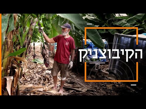 וִידֵאוֹ: כמה מלקטי ציידים יש היום?