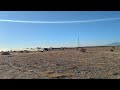 Wildcat xx 70mph jump testing plaster city 2023