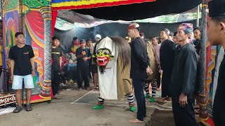 Keganasan Macan Macanan Barong tresno Budoyo Kemiren live delik