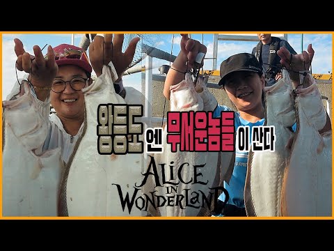 풍낚TV 광어다운샷/8월15일 왕등도만의 살벌한 놈들/평균 6짜급들의 강렬한 저항/군산엘리스호/Cinematic Fishing Vlog