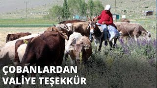Çobanlardan kendilerine kız verilmemesini eleştiren valiye teşekkür