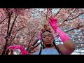 Nobuhle - Imali (Official Music Video) Ft Master KG x Casswell P