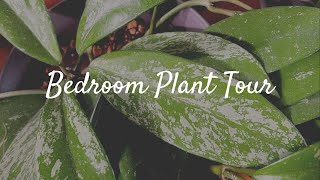 Bedroom Plant Tour!