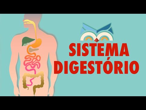 Vídeo: Qual é O Sistema Digestivo Humano