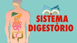 Quais os órgãos que compõem o aparelho digestivo?