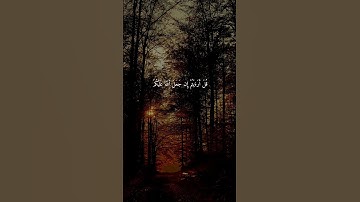 سورة القصص { ٧١ ــ ٧٣ } #ياسر_الدوسري #القرآن_الكريم #قران