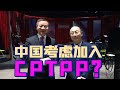 金灿荣、张维为：趁美国不在，日本会让我们进入CPTPP吗？