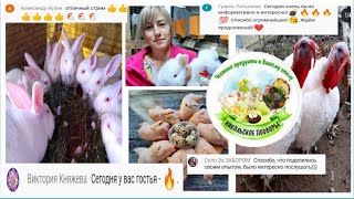 Бизнес на Птице и Кроликах. Советы от хозяйки 