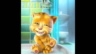 Talking Ginger's daily routine in the bathroom