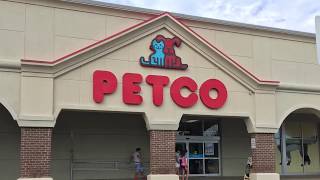Америка . Petco. Магазин для животных . Много всего интересного. Советы и консультации . Америка . Petco. Магазин для животных . Много всего интересного. Советы и консультации .