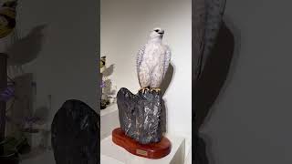 Wildlife Art Gallery