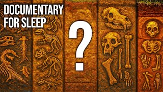 Celebrity What Happened During the Prehistoric Time Gap Scientists CAN'T Explain? | Documentary For Sleep Wealth
