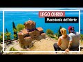 LAGO OHRID - Macedonia del Norte / El Lago más antiguo de Europa / Vlog 9