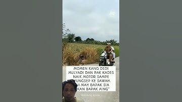 Detik-detik Kang dedi mulyadi Nyungsep ke sawah,Ngakak#kangdedimulyadi#dedimulyadi