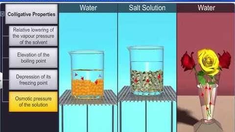 CBSE Class 12 Chemistry, Solutions – 7, Colligative Properties: Osmotic Pressure