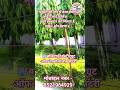 BALIAPUR INSTITUTE OF TECHNOLOGY, SINDRI #baliapur #iti #itivlog #viralvideos #dhanbad #jharkhand