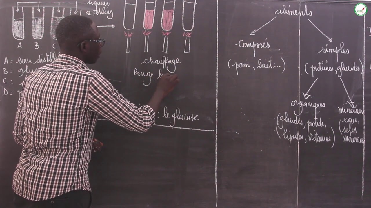 Cours - Première S - SVT : La Physiologie / Mise en évidence d'un aliment complexe / M. Beye